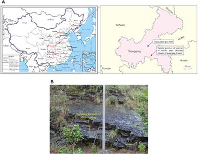 Laboratory investigation and evaluation of the hydraulic fracturing of marine shale considering multiple geological and engineering factors